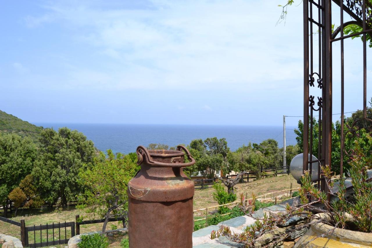 Bed and Breakfast Casa Di Babbo Мачинаджо Экстерьер фото